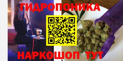 прущие крисы Волжский