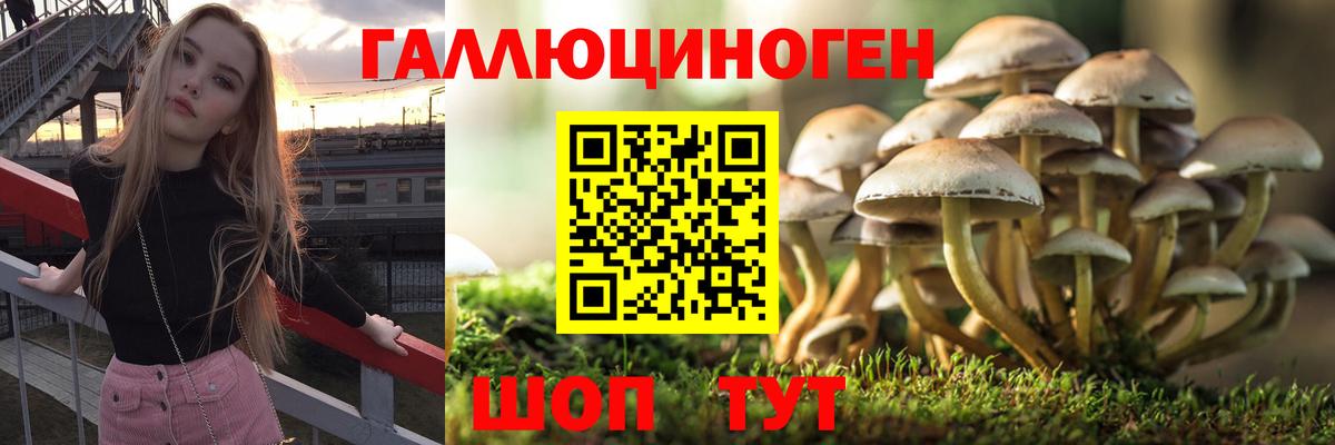 Галлюциногенные грибы Magic Shrooms  Вход с VPN  Брянск 